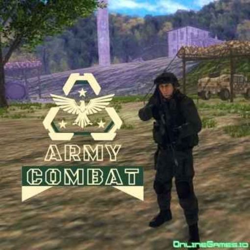 Picture of Army Combat